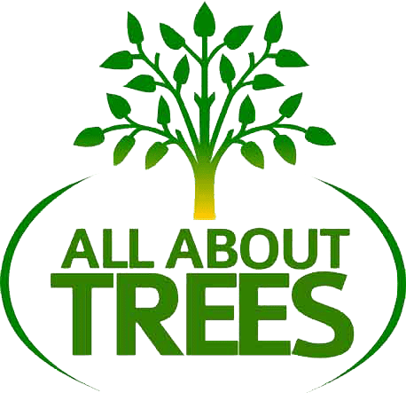 all-about-trees-az