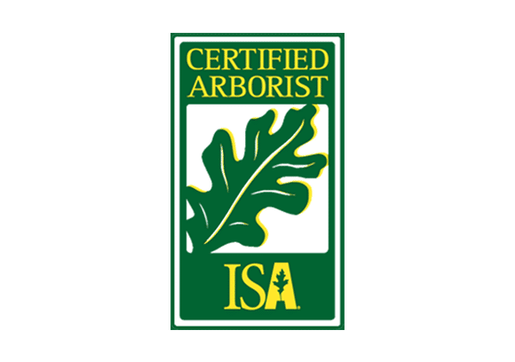 certified-arborists-mesa-az
