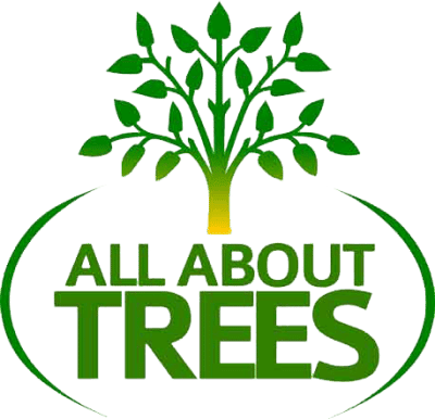 All About Trees Certified Arborist in Arizona Logo