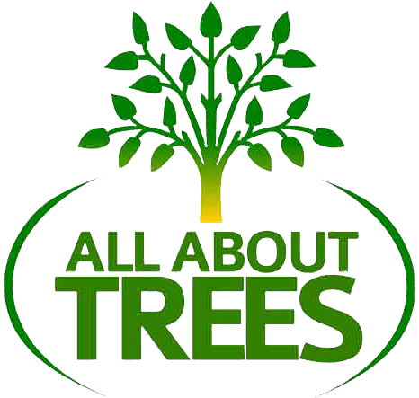 Expert Tree Service Gilbert Mesa East Valley All About Trees