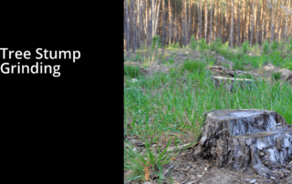 A cut down bark of a tree with tree stump grinding written