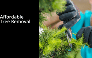 Affordable tree removal banner