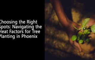 Choosing the Right Spots Navigating the Heat Factors for Tree Planting in Phoenix