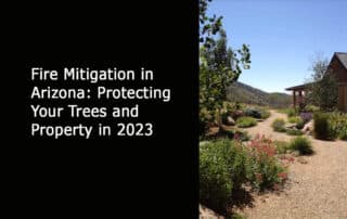 Fire Mitigation in Arizona-Protecting Your Trees and Property in 2023