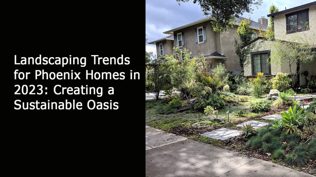 Landscaping Trends for Phoenix Homes in 2023 - Creating a Sustainable Oasis