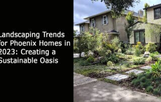 Landscaping Trends for Phoenix Homes in 2023 - Creating a Sustainable Oasis