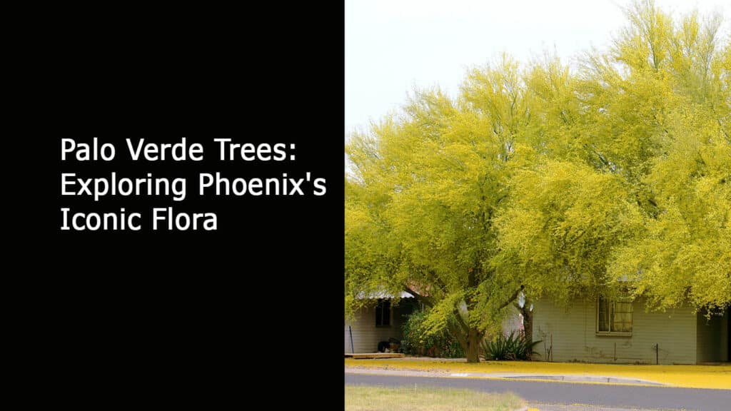 Palo Verde Trees Exploring Phoenix's Iconic Flora