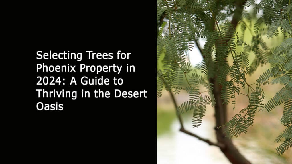 Selecting Trees for Phoenix Property in 2024: A Guide to Thriving in the Desert Oasis