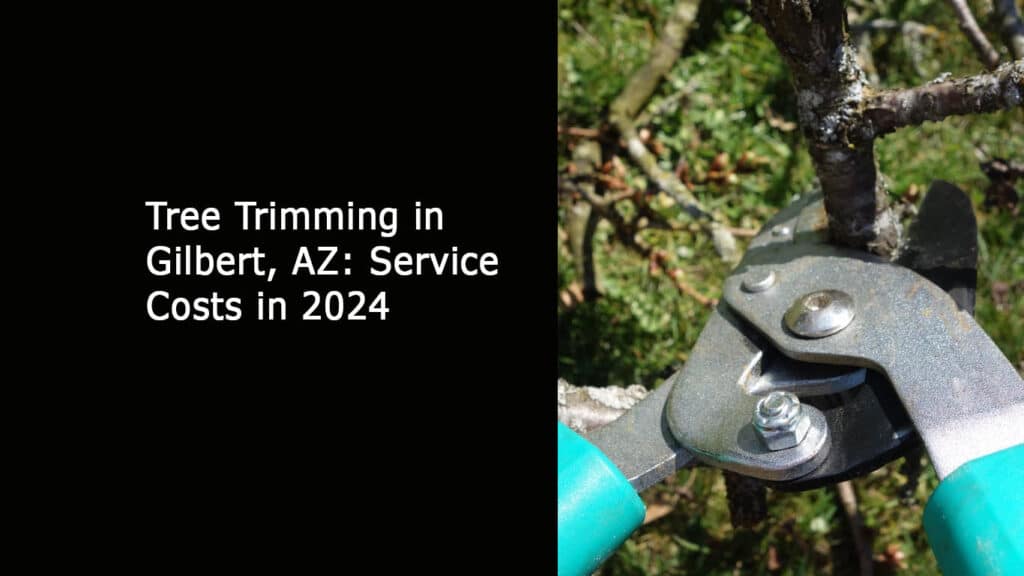 Tree Trimming in Gilbert AZ-Service Costs in 2024