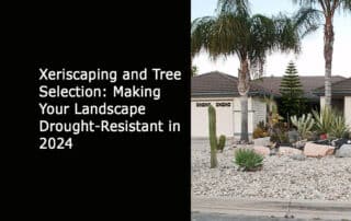 Xeriscaping and Tree Selection - Making Your Landscape Drought-Resistant in 2024