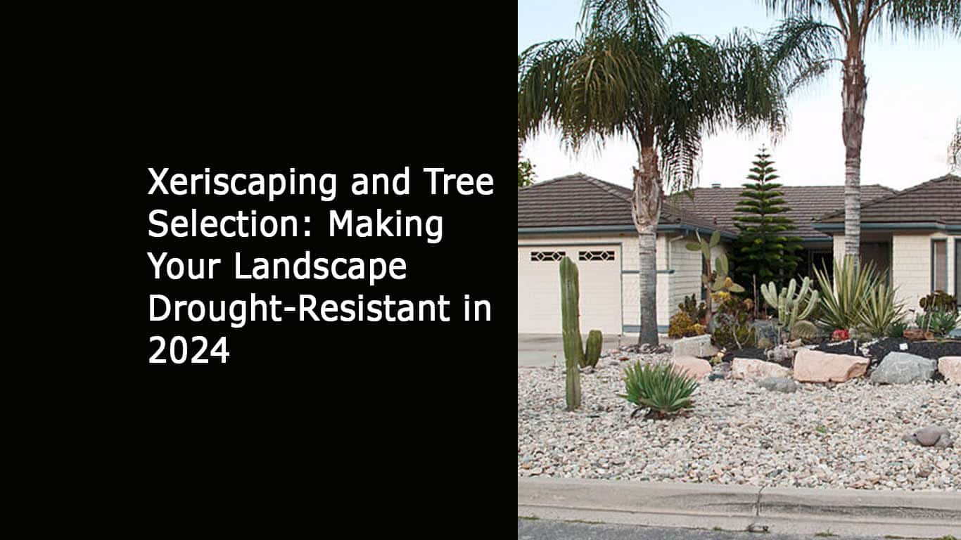 Xeriscaping and Tree Selection - Making Your Landscape Drought-Resistant in 2024