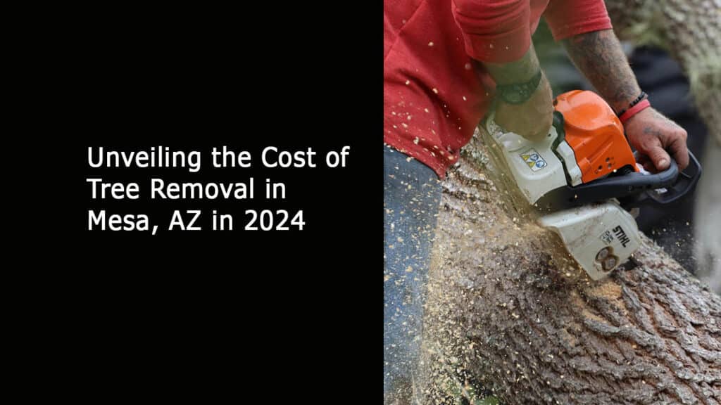 Cost of Tree Removal in Mesa AZ in 2024