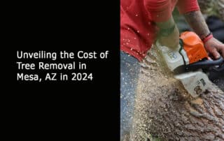 Cost of Tree Removal in Mesa AZ in 2024