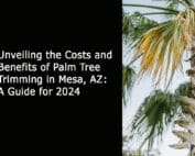 Unveiling the Costs and Benefits of Palm Tree Trimming in Mesa