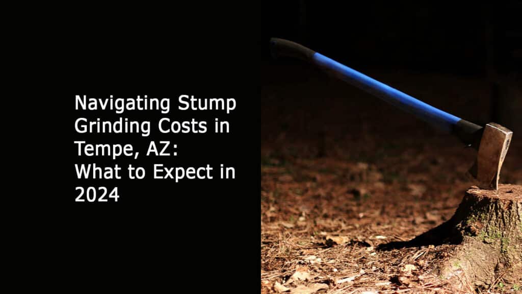 Navigating Stump Grinding Costs in Tempe AZ