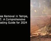 Tree Removal in Tempe AZ - A Comprehensive Costing Guide for 2024