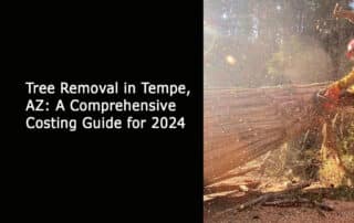 Tree Removal in Tempe AZ - A Comprehensive Costing Guide for 2024