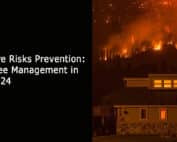 Fire Risks Prevention - Tree Management in 2024