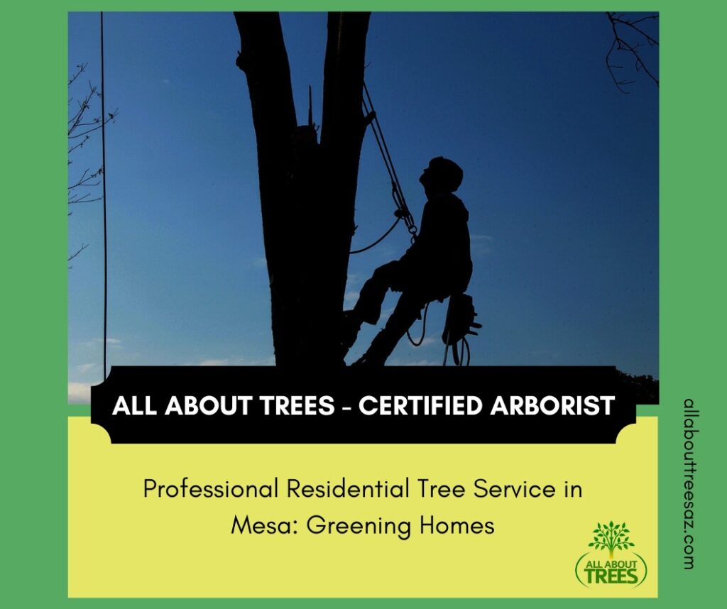 Professional Residential Tree Service in Mesa - Greening Homes