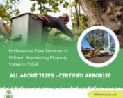 Professional Tree Services in Gilbert - Maximizing Property Value in 2024