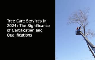 Tree Care Services in 2024 The Significance of Certification and Qualifications