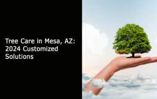 Tree Care in Mesa AZ - 2024 Customized Solutions