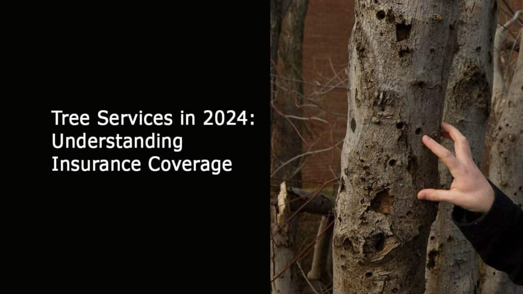 Tree Services in 2024 Understanding Insurance Coverage