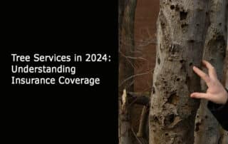 Tree Services in 2024 Understanding Insurance Coverage