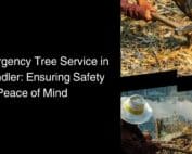 Emergency Tree Service in Chandler -Ensuring Safety and Peace of Mind