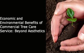 Hands planting a sapling in soil.