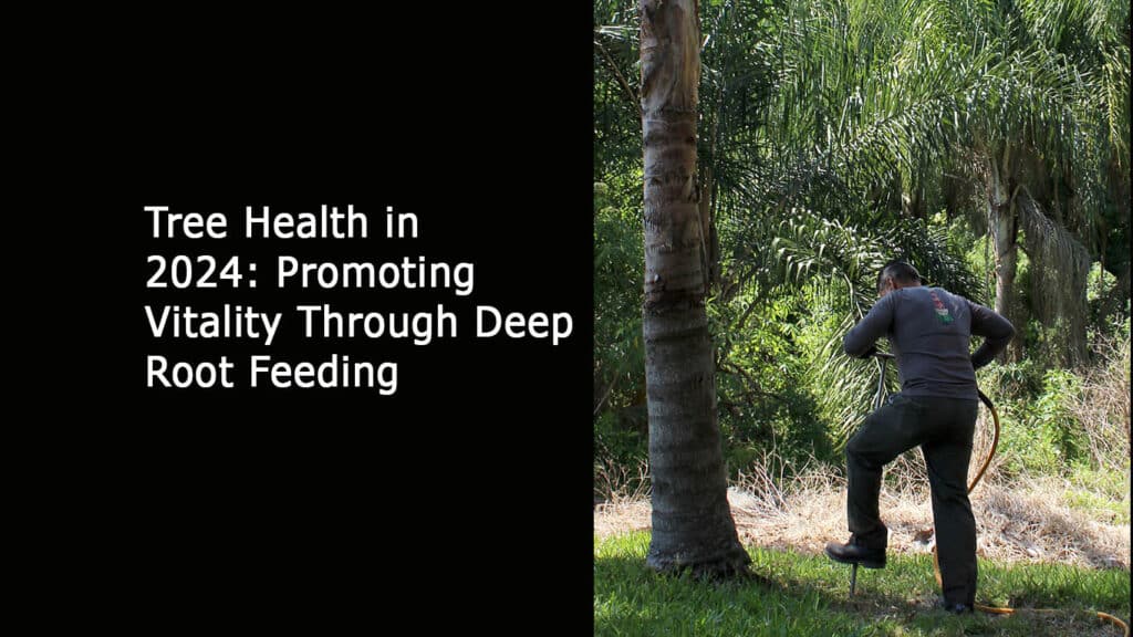 Tree Health in 2024 - Promoting Vitality Through Deep Root Feeding