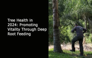 Tree Health in 2024 - Promoting Vitality Through Deep Root Feeding