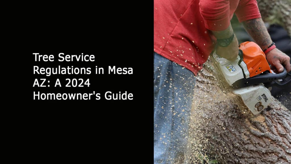 Tree Service Regulations in Mesa AZ - A 2024 Homeowners Guide