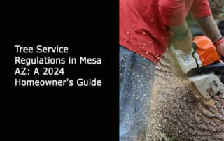 Tree Service Regulations in Mesa AZ - A 2024 Homeowners Guide