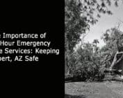 The Importance of 24-Hour Emergency Tree Services-Keeping Gilbert- AZ Safe