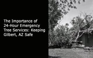 The Importance of 24-Hour Emergency Tree Services-Keeping Gilbert- AZ Safe