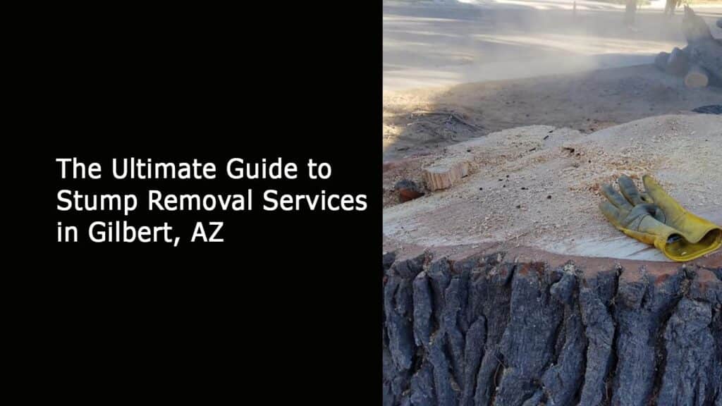 The Ultimate Guide to Stump Removal Services in Gilbert AZ