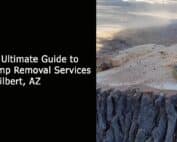 The Ultimate Guide to Stump Removal Services in Gilbert AZ