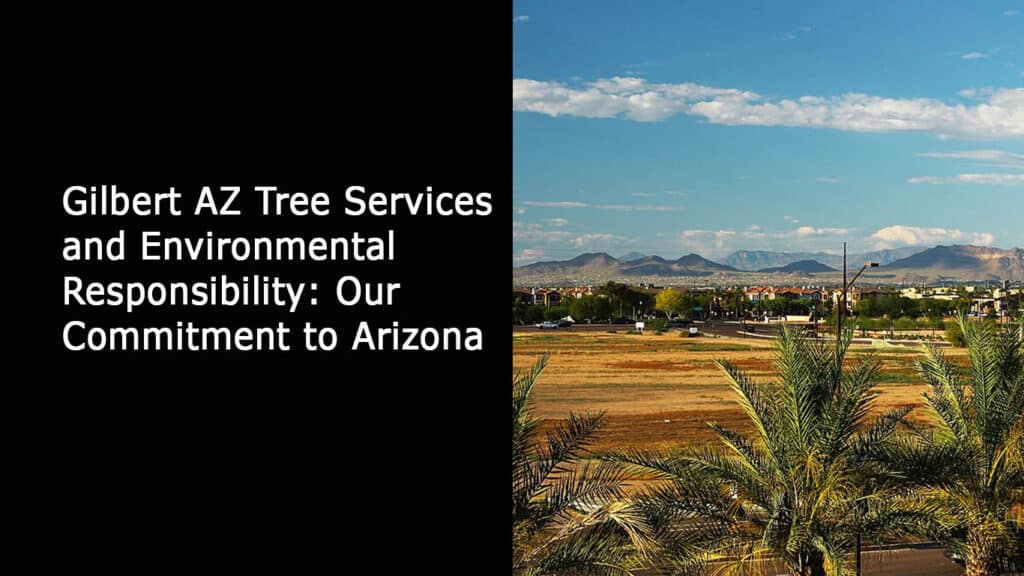 Gilbert AZ Tree Services and Environmental Responsibility - Our Commitment to Arizona