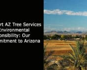 Gilbert AZ Tree Services and Environmental Responsibility - Our Commitment to Arizona