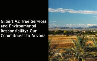 Gilbert AZ Tree Services and Environmental Responsibility - Our Commitment to Arizona