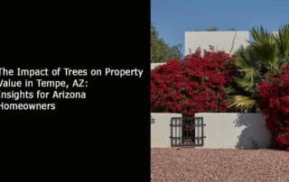 The Impact of Trees on Property Value in Tempe AZ - Insights for Arizona Homeowners