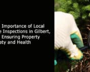 The Importance of Local Tree Inspections in Gilbert AZ - Ensuring Property Safety and Health