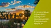 Enhancing Urban Sustainability: Strategies for Developing Urban Tree Canopy in Tempe, AZ