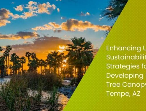 Enhancing Urban Sustainability: Strategies for Developing Urban Tree Canopy in Tempe, AZ