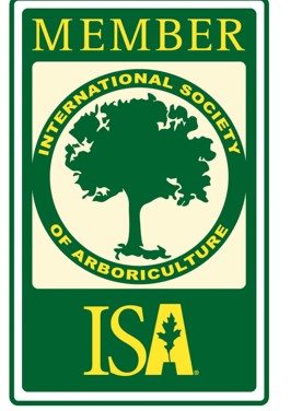 ISA-member-logo